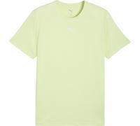 Puma - TAD Essentials Heather Cat T-Shirt Herren apple spritz heather