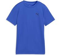 Puma TAD Essentials Tee B royal sapphire (50) 116