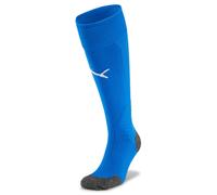 Puma Team LIGA Socks