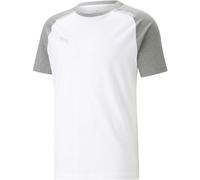 Puma TEAMCUP CASUALS TEE Fußball T-Shirt, weiß, größe M