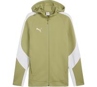 Puma teamEVOSTRIPE Hooded Jacket | grün | Herren | XL | 659947-0040 XL