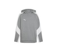 Puma teamEvostripe Hoodie Herren - grau/weiß - L