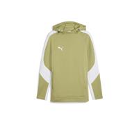 Puma teamEVOSTRIPE Hoody | grün | Herren | S | 659954-0040 S