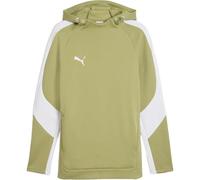 Puma teamEVOSTRIPE Hoody | grün | Herren | XL | 659954-0040 XL