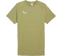 PUMA teamEvostripe T-Shirt Herren 40 - calming green/puma silver/puma white S