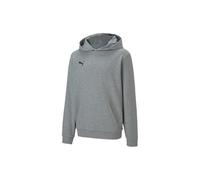 Puma Kinder teamGOAL 23 Casuals Hoody Jr Pullover, Medium Gray Heather, 116