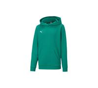Puma teamGOAL 23 Casuals Hoodie Kinder - grün-116
