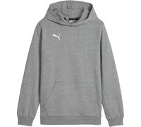 Puma Teamgoal Casual Hoodie Kinder | grau | Kinder | 140 | 658619-0033 140
