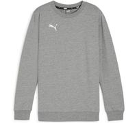 Puma teamGOAL Casuals Crew Neck Junior Jungen Sweatshirt, grau 164