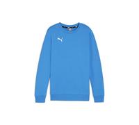 Puma Teamgoal Casuals Crew Neck Sweat Jr ignite blue-puma white (02) 152