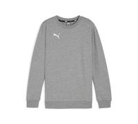 Puma teamGOAL Casuals Crew Neck Sweatshirt Kinder - grau-113