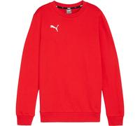 PUMA teamGOAL Casuals Crew Neck Sweat Jr