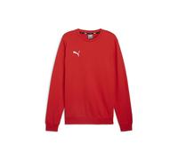 Puma Herren Teamgoal Casuals Crew Neck SWE Strickpullover (1er Pack)