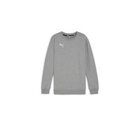 Puma teamGOAL Casuals Crew Neck Sweatshirt Kinder - grau-113
