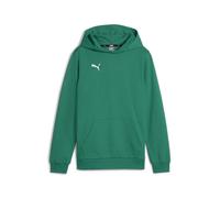 PUMA teamGOAL Casuals Hoodie Jungen 05 - sport green/puma white 164