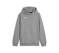 PUMA Jungen Teamgoal Casuals Hoody Jr Pullover, Medium Gray Heather-puma White, 128 EU