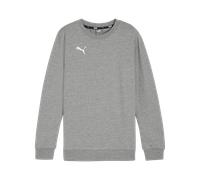 PUMA teamGOAL Casuals Sweatshirt Kids Grau F33 164 grau