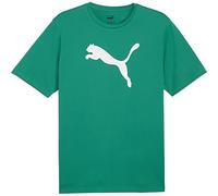 Puma teamRISE Logo Cotton Herren T-Shirt, grün S