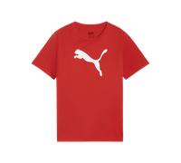 PUMA Jungen Teamrise Logo Jersey Cotton Jr Tees