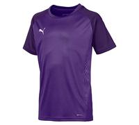 PUMA Uni T-Shirt Cup Sideline Tee Core Jr, Prism Violet-Parachute Purple, 128, 656052