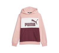 PUMA Unisex Baby ESS Block Hoodie FL B Sweatshirt