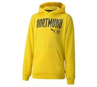 PUMA Unisex, BVB ftblCore Wording Hoody Jr Pullover, Cyber Yellow-Black, 128