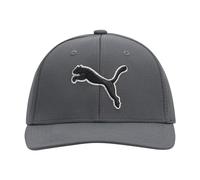 PUMA Unisex-Erwachsene Evercat Dillon Stretch Fit Cap Baseballkappe, dunkelgrau, S/M