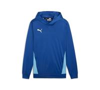 PUMA Unisex Individual Padel TRG Hoody M Sweat
