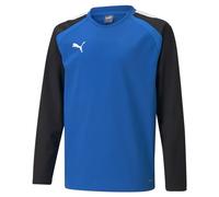 PUMA Unisex Kinder Sweater, Electric Blue Lemonade-Puma Black, 176