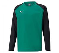 PUMA Unisex Kinder Sweater, Pepper Green-Puma Black, 176