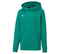 PUMA Unisex Kinder Teamgoal 23 afslappet als hættetrøje Jr Hoodie, Pepper Green, 128 EU