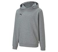 PUMA Unisex Kinder, teamGOAL 23 Casuals Hoody Jr Hoodie, Medium Gray Heather, 128