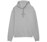 Puma M Cloudspun Branded Hoodie light gray heather (04) XXL