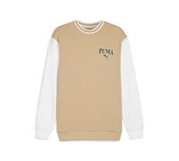 PUMA Herren Sweatshirt SQUAD Crew TR (678970) L PRAIRIE TAN