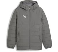 PUMA Unisex Teamadditions Hooded Padded Jacket Übergangsjacken, Flach, Mittelgrau, PUMA-Silber, XXL EU