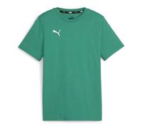 Puma Unisex Teamgoal Casuals Tee Jr T-Shirt, Sport Green-Puma White, 140 EU