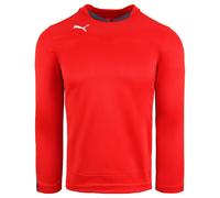 Puma v5.08 Buffon Torhüterhemd Langarm Red Mens Top 700489 24 M