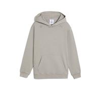 PUMA x SONIC THE HEDGEHOG Graphic Hoodie Teenager, Accessoires, Grau, 11-12Y Gray