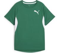 Puma Y Cross The Line Tee 3.0 power green (06) 152