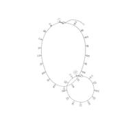 Purelei Confident Schmuck-Set 100% Edelstahl Silber