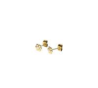 Purelei® Flower Studs - wasserfest | Ohrstecker in Blumenform mit funkelnden Zirkoniasteinen | Edelstahl & 14K/18K Vergoldung | Symbol für Leichtigkeit & Lebensfreude (Gold)