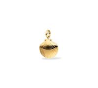 Purelei Muschel Charm für Damen, maritimer Anhänger aus Edelstahl in Muschelform, Schmuck Anhänger für Ketten und Armbänder, sommerliches Accessoire für Urlaub (Gold)