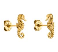 Purelei Seahorse Ohrringe (Gold, Silber, Rosegold), Wasserfeste Damenohrringe, Ohrstecker in Seepferdchenform aus Edelstahl, Geschenk für Frauen (Gold)