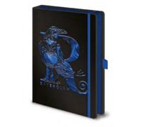 Pyramid Europe GmbH Harry Potter (stand Together Ravenclaw Foil) A5 Premium Note
