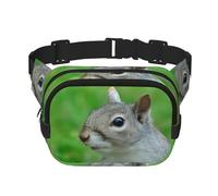 QGWDYYJQ Quadratische, doppellagige Hüfttasche mit Eichhörnchen-Aufdruck, Reisetasche, Schwarz , Einheitsgröße