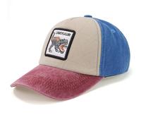 QKURT Baseballkappe für Jungen, Sommer-UV-Schutz, Sonnenhut, Trucker-Mütze, Dinosaurier-Baseballkappe, Auto-Baumwollhüte, verstellbare Outdoor-Sporthüte für Kinder im Alter von 2-6 Jahren