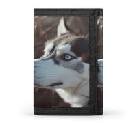 QMKFWT Blue Eyed Husky Dog Casual Wallet Credit Card Holder Premium Document Organizer Case for Men And Women