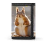 QMKFWT Eichhörnchen lustige Tier-Geldbörse, Kreditkartenhalter, Premium-Dokumenten-Organizer, Etui für Männer und Frauen