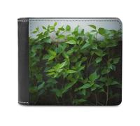 QMNRTK Grüne Pflanzen-Ledergeldbörse für Männer und Frauen, RFID-blockierend, extra Kapazität, ultrastarke Nähte, schlanke Geldscheinfach mit 8 Kartenfächern, Stil, Einheitsgröße, Stil:, Einheitsgröße