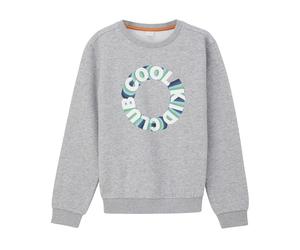 QS by s.Oliver Kinder Sweatshirt (grau/weiß/blau, L (164))